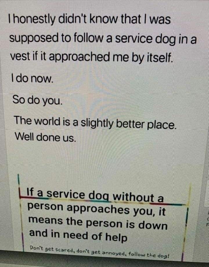 sharkattack67's tweet image. #FYI 
#ServiceAnimal
#SupportingOurCommunity 
#humanity