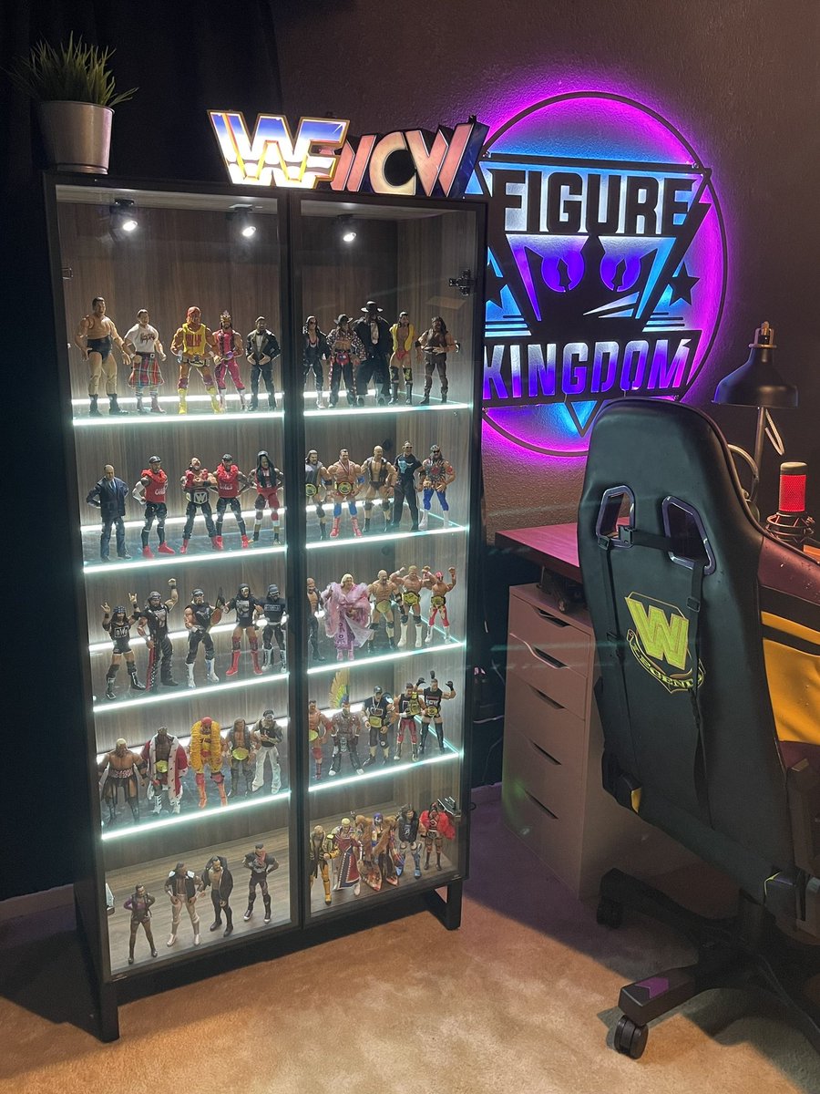 Need a game changer display case? 

#figlife

shorturl.at/fjoI4