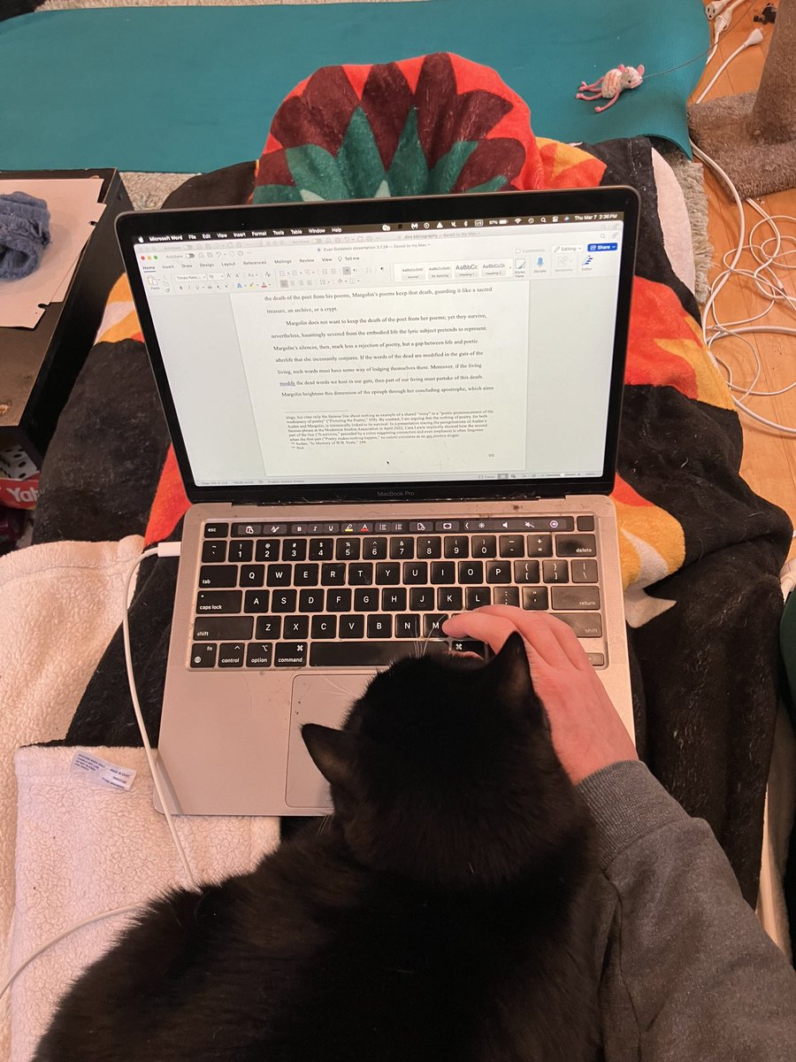 Evan Goldstein tweet media