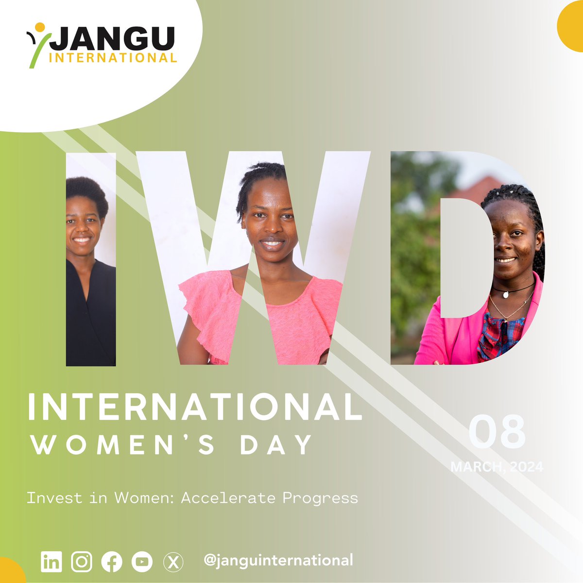 Jangu International tweet media