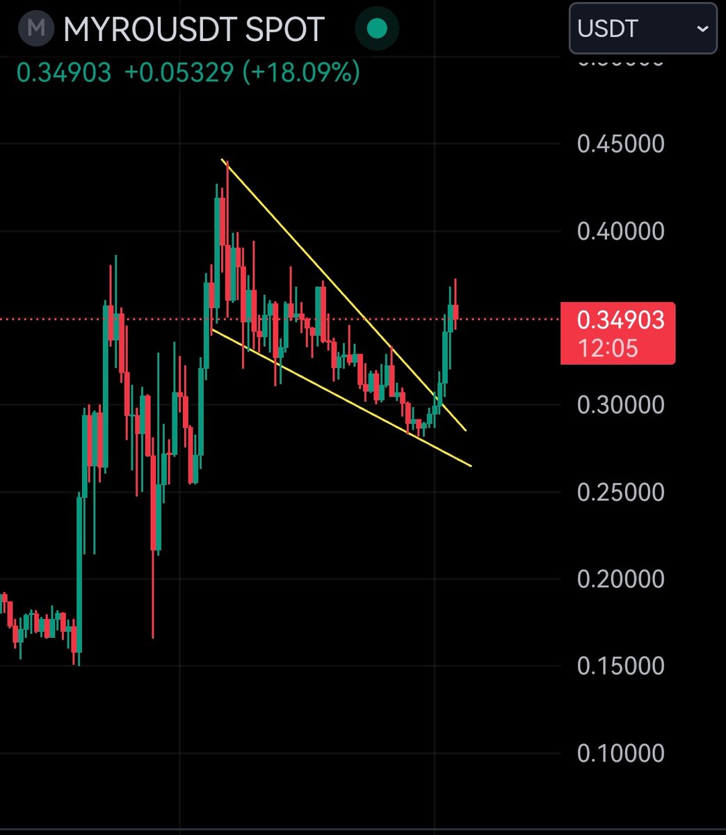 NEXANYMO's tweet image. @MyroSOL when the bags are loaded and the wegde is breaking to the upside. $MYRO is ready for another run. 🚀🚀🚀
Don't sleep on our doog boy.