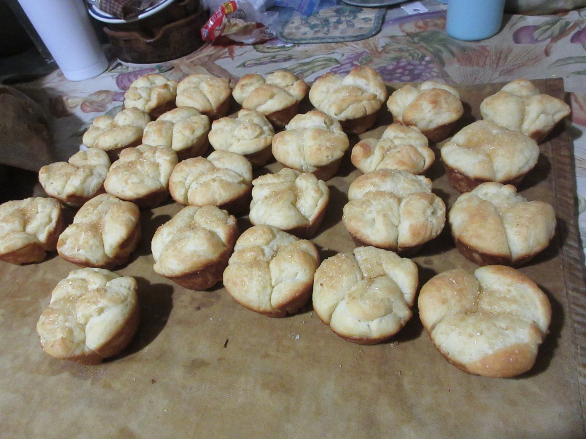 Roy Beck tweet media