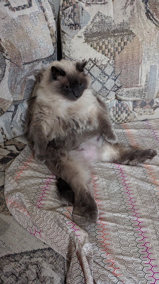 sooms 🐻 tweet media