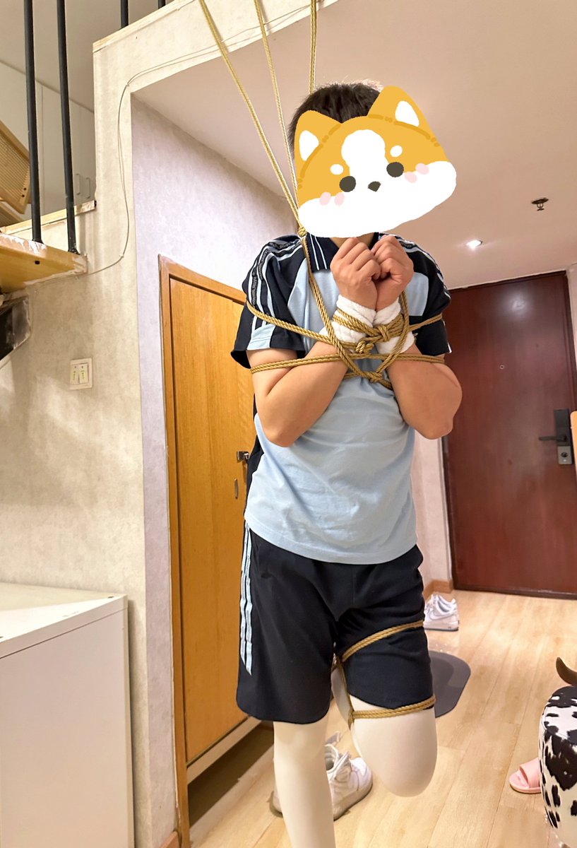 古哼哼 tweet media