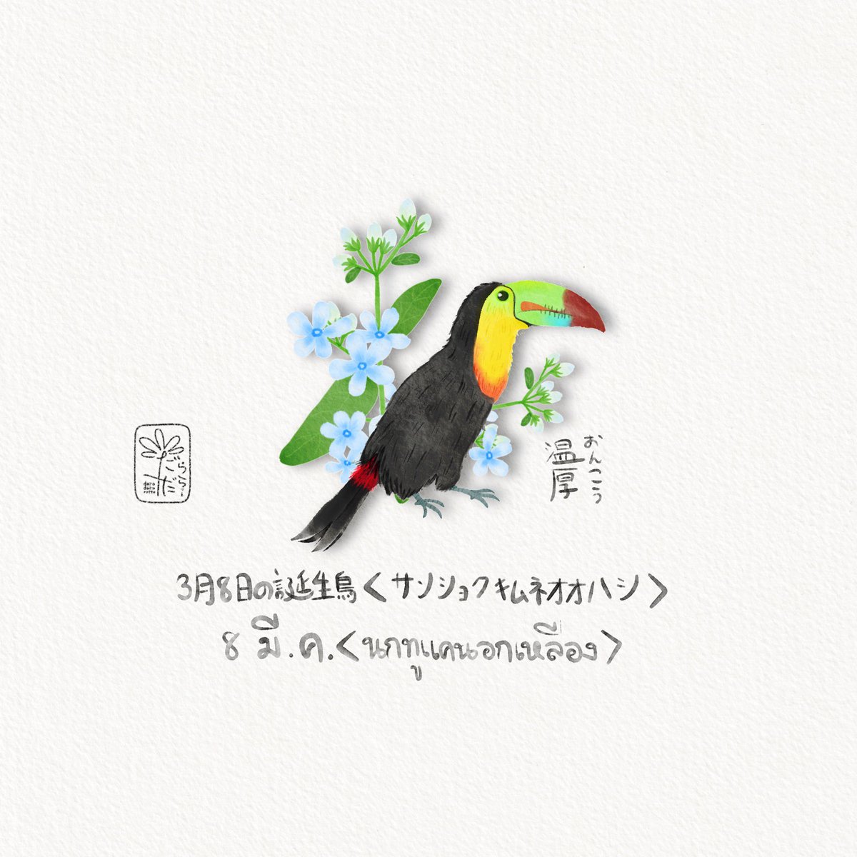นกประจำวันเกิด 8 มีนาคม
“นกทูแคนคอเหลือง”
'ความสุภาพอ่อนโยน'

3月8日の誕生鳥　'サンショクキムネオオハシ'
“温厚(おんこう)”

March 8rd of birthday bird
“Keel-billed toucan”
“Gentle”

ดอกไม้วันเกิด 8 มี.ค 'บลูสตาร์”
“ความรักที่มีความสุข”
3月8日 “ルリトウワタ'
“幸福な愛'
March8th…