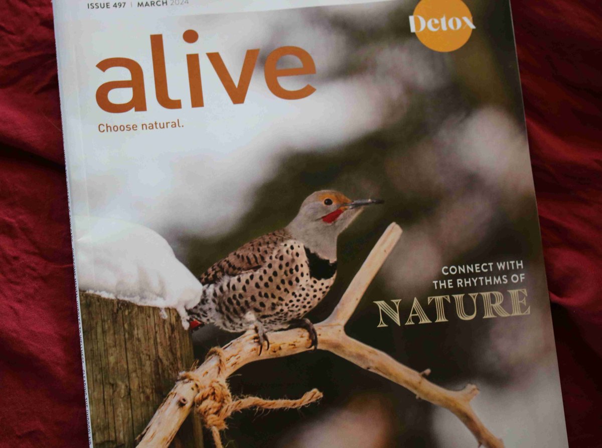 Don't miss my article 'More than Skin Deep' in the March edition of alive magazine. Discover the skin-brain connection. #skinhealth #skintreatment #skincaretips #psychodermatology #naturalhealing DrMichelleCook.com