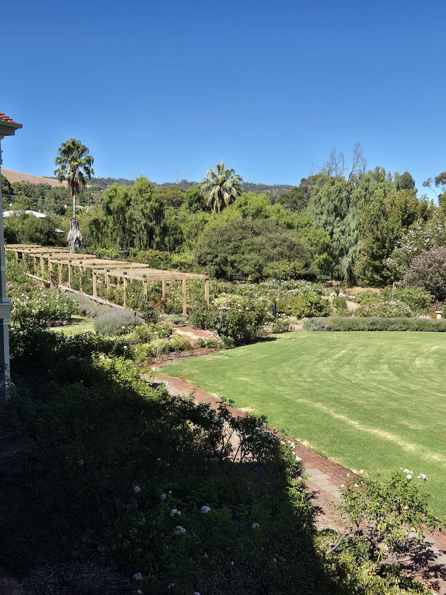 Tina Bianco-Miotto (@tinabianco) on Twitter photo Looking forward to our #IWD2024 event on the Waite Campus at Urrbrae House....starts at 12.30pm so feel free to join us in the very cool ballroom for our guest speaker followed by lunch <a href="/UofA_SET/">Faculty of Sciences, Engineering and Technology</a> <a href="/waiteresearch/">Waite Research Institute</a> <a href="/WomenOfWaite/">Women Of Waite</a> Looking forward to our #IWD2024 event on the Waite Campus at Urrbrae House....starts at 12.30pm so feel free to join us in the very cool ballroom for our guest speaker followed by lunch <a href="/UofA_SET/">Faculty of Sciences, Engineering and Technology</a> <a href="/waiteresearch/">Waite Research Institute</a> <a href="/WomenOfWaite/">Women Of Waite</a>