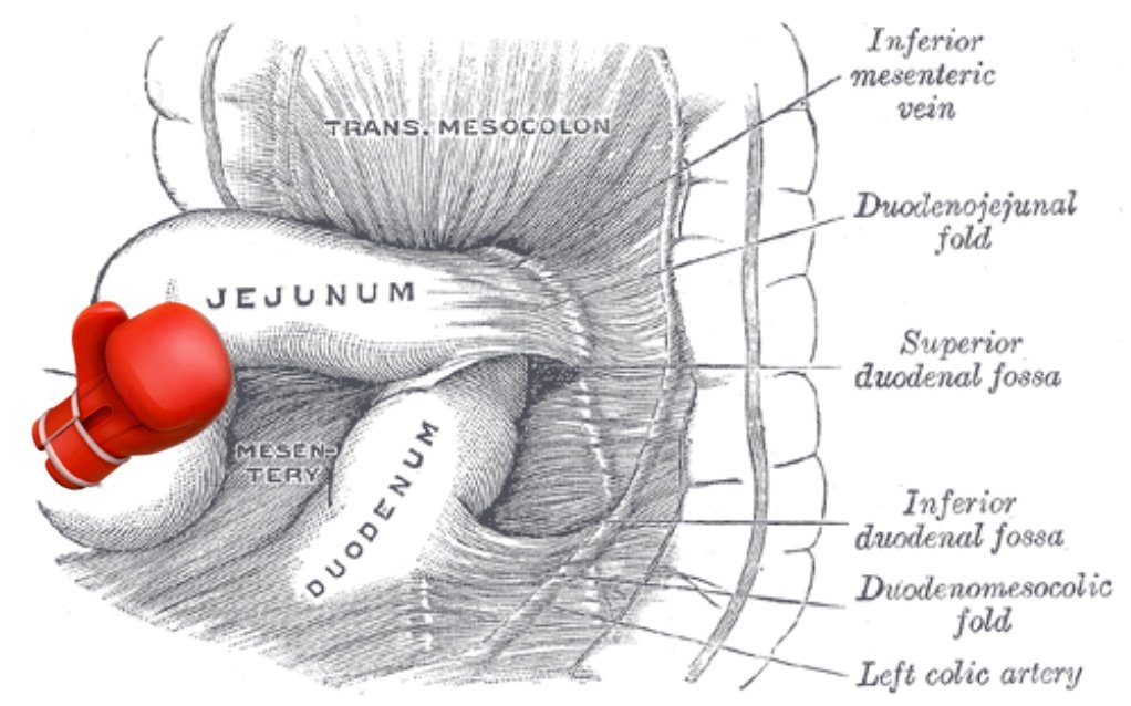 KingTheDreamer's tweet photo. For reference, @EllisAndrew_  😂
#Jejunum @NattyStateSport https://t.co/he4IQQbJzZ