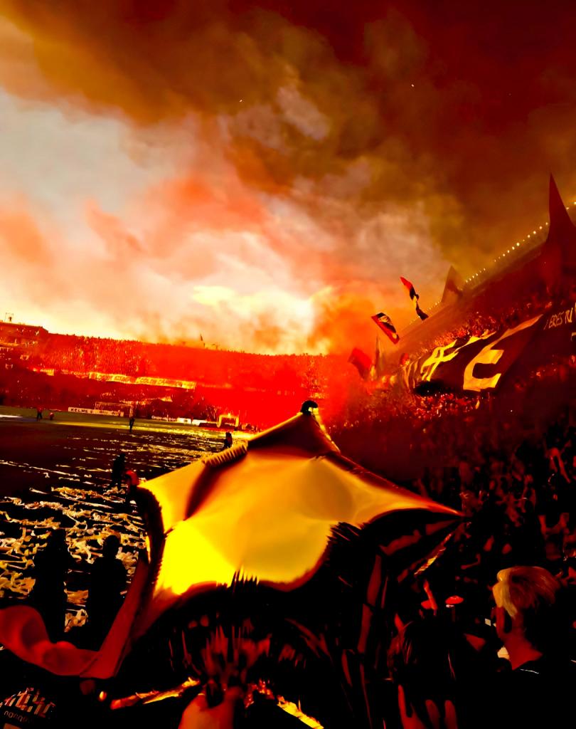 Paralytics Colon 🌟 tweet media