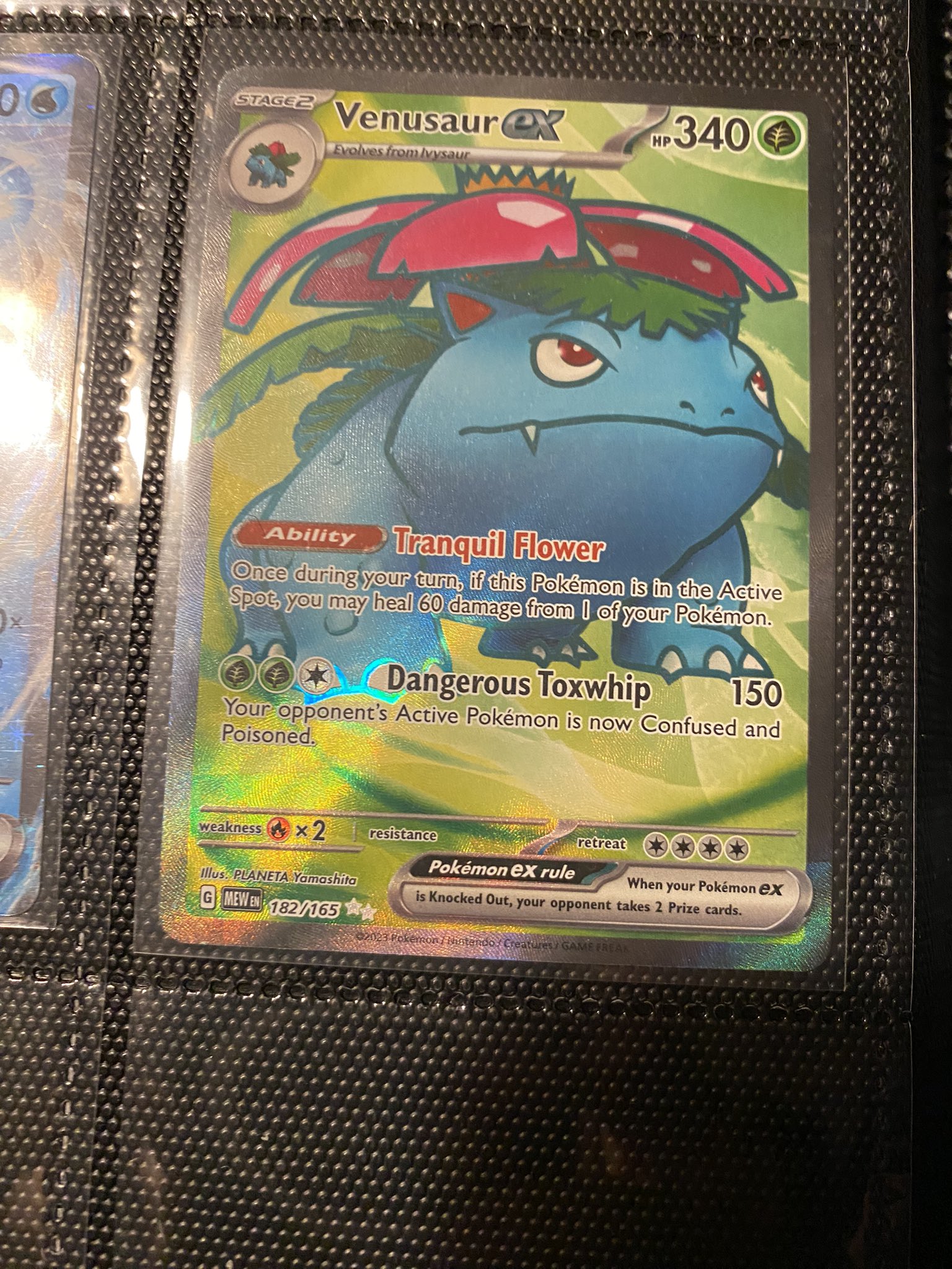 proud venusaur https://t.co/42Ut3TzGDN