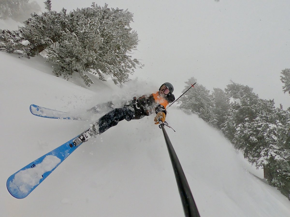 Jamie Starr tweet media