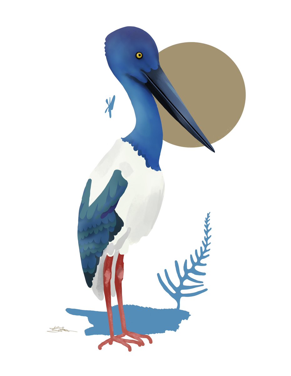 Over time I’ve been observing the #BlackneckedStork or as some might know it as #Jabiru karin.redbubble.com #RBandME #Ephippiorhynchusasiaticus #blackneckedstorkpainting #blackneckedstorkprints #blackneckedstorktshirt #plackneckedstorkposter #blackneckedstorksticker