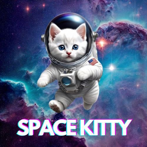 Space__Kitty__'s tweet photo. We are about to go live soon, 

Will you come space with this Kitty? https://t.co/h9MjeAeIgS