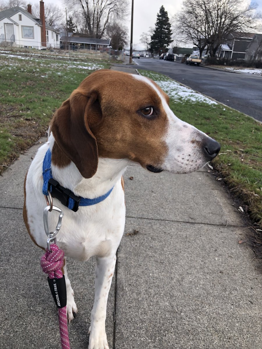 "You're sure that tomorrow is Friday?" - Scout giving massive side-eye