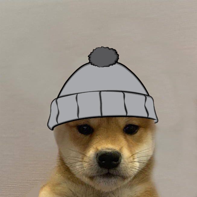 dogwifcoin's tweet photo. Does it come wif hat ?! 

$WIF https://t.co/tdYRbVlSOk