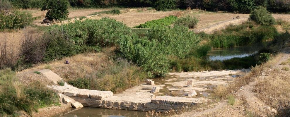 Xamuel28's tweet photo. Buenos días #Vinaceite
Comarca: Bajo Martín
Habitantes: 200
Gentilicio:vinazayo, -a
Más Info: https://t.co/9CBcKglI49 https://t.co/mV9JhZDksb
