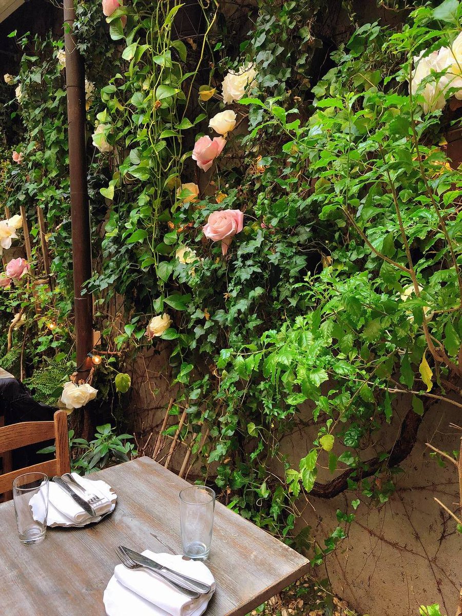 Agate00Cutie's tweet photo. This restaurant transports you to a springtime rose garden with its atrium filled with flowers and verdant foliage, in addition to its authentic Italian cuisine. https://t.co/1PKNQVqgej