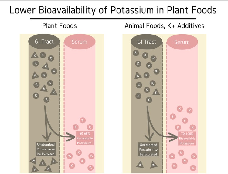 nutripalacios's tweet photo. El K dietético de fuentes vegetales tiene ↓ impacto sobre los niveles de K sérico debido a que es ↓ biodisponible que el de fuentes de origen animal y aditivos. 👉🏽Se estima que el K vegetal se absorbe en un 60 - 68 %, mientras que el de origen animal y aditivos entre 70 - 100%. https://t.co/b5t7zfeqNN