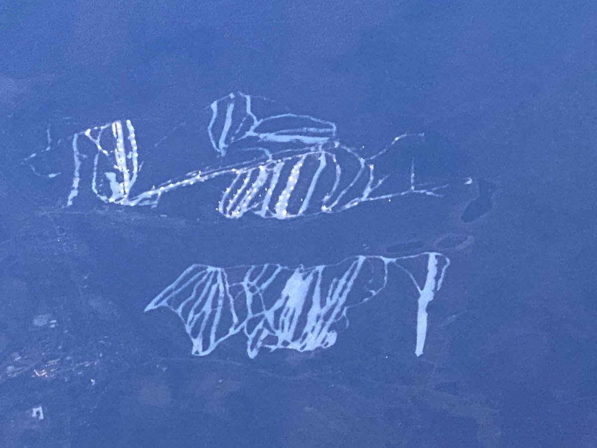 Chris Hadfield tweet media