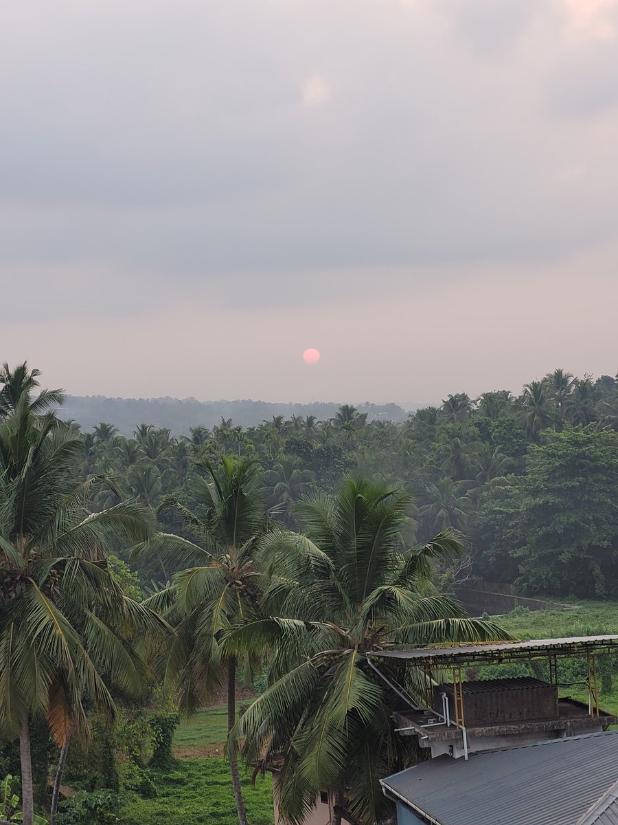 CapriDeep's tweet photo. Good morning world

#morningvibes #photograghy #goodmorning #Kerala #GodOwnCountry https://t.co/eEnq6IaFNc