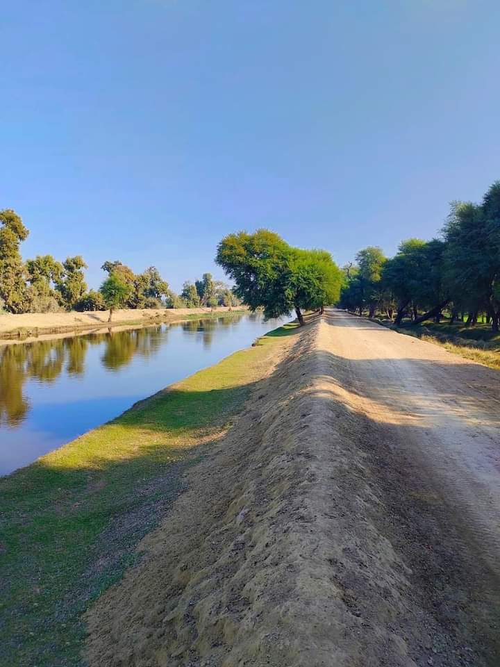 Good morning 🌄
Everyone