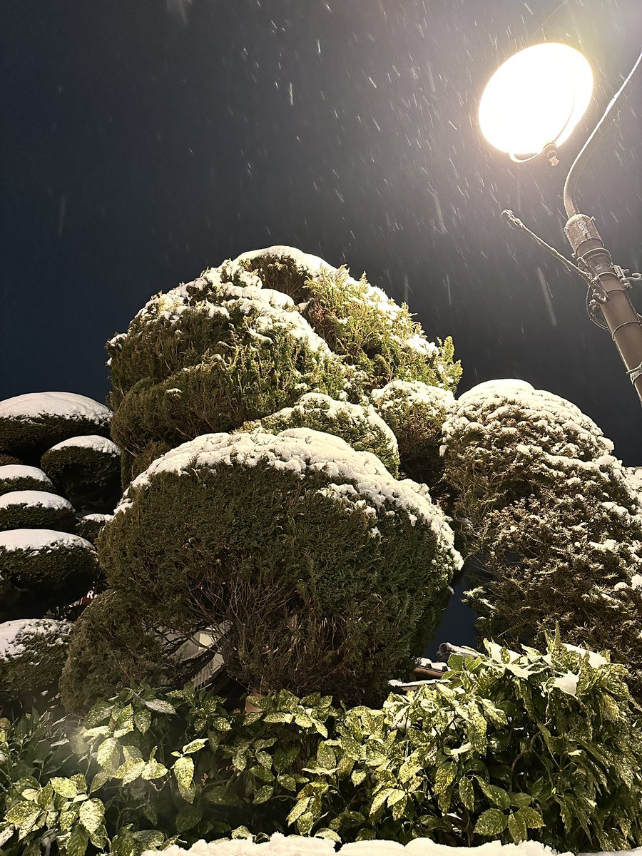 第一次見到落雪，今次終於遇到 。