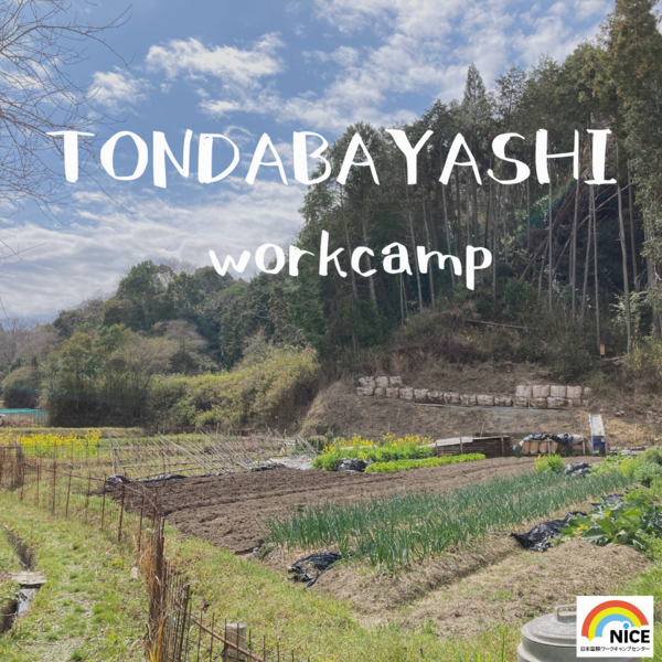 nice_workcamp's tweet photo. ／
ワークキャンプ情報
＼
【3/9土-10日】大阪府富田林市での週末ワークキャンプ参加者募集！恒例の”奥の谷”でのワークに加え、今回は特別企画として、神戸大学の名誉教授による里山講座を行います。かなり貴重な機会となります！皆さまの参加をお待ちしております！
https://t.co/WVAxMYUbVN https://t.co/ESwZE76zg7