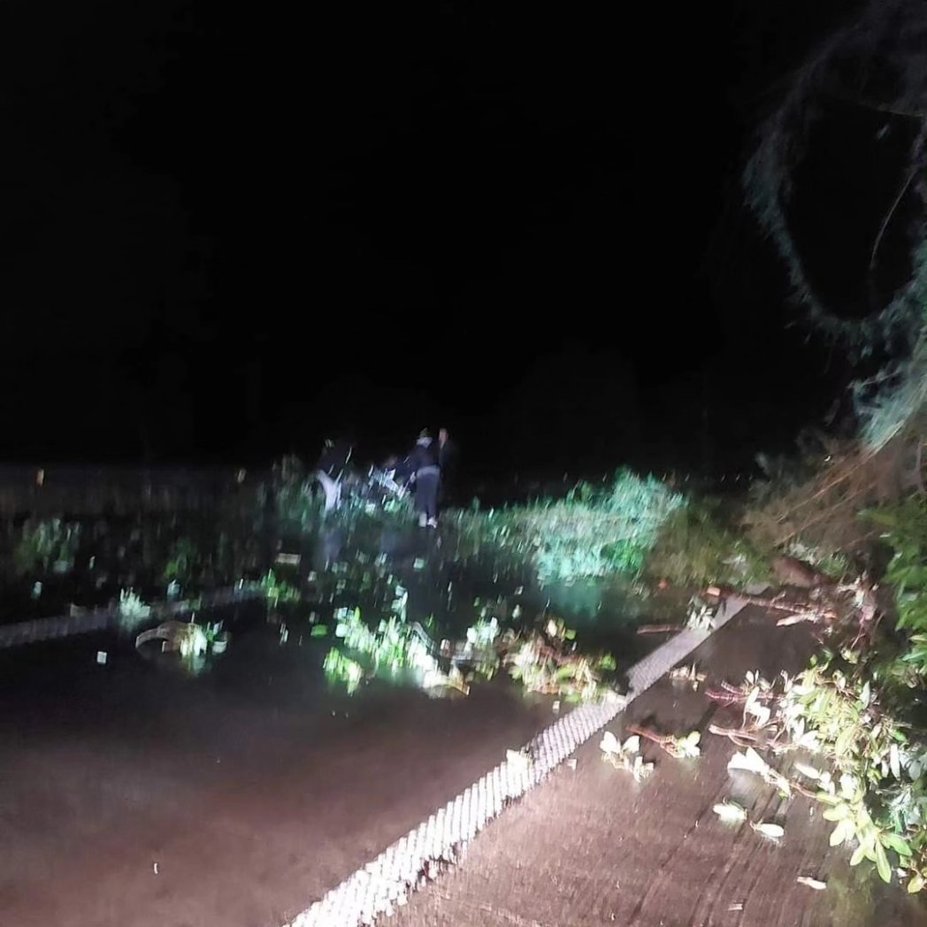 OmegaQuellon's tweet photo. #Chonchi: Precaución conductores sector #Natri #ruta5 por caída de árbol sobre la calzada, Unidad de bomberos al lugar. https://t.co/CFBp2wILB4