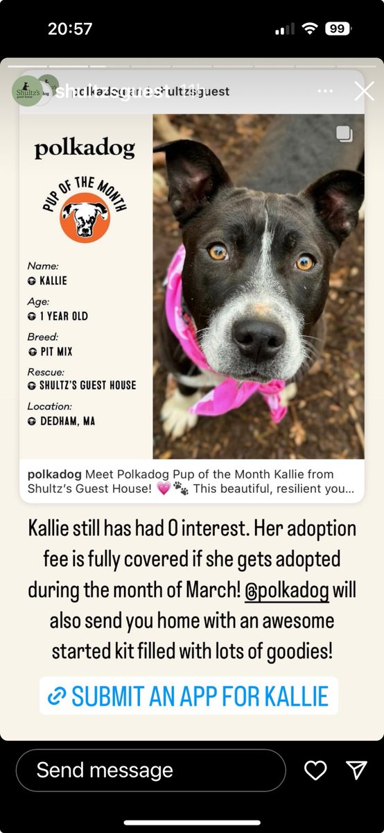 Anne K (@akaufman1089) on Twitter photo 