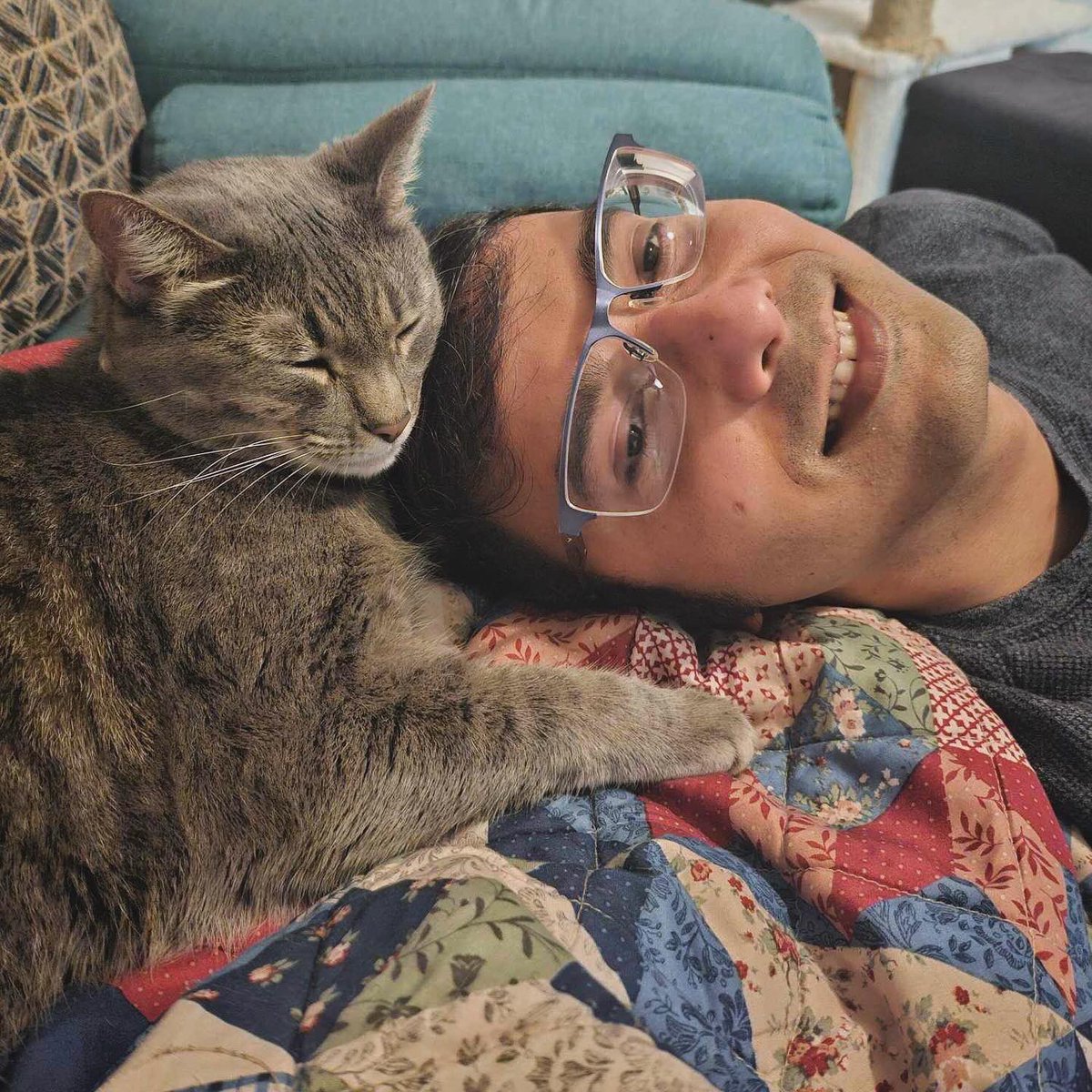 DrManisitDas's tweet photo. Happy to be around their favorite humans
#catparenting #catscatscats #CatsOfTwitter https://t.co/lNaUvyPomy