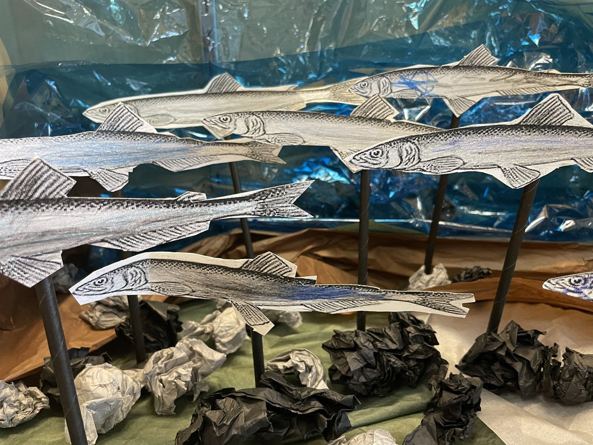 KateLyonPR's tweet photo. The oolichan are running in the Skeena - a sign that spring is coming! My Kinders are gaining background knowledge &amp; learning new vocabulary! 

#Oolichan
#TsmsyenTerritory 
#Kindergarten 
#PlayfulLearning 
#BCEd https://t.co/Cd6xSZGEDw