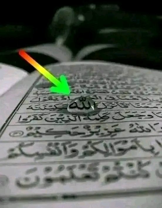 پیارے بہن بھائیوں مجھے ساتھ ساتھ فولو کرو مجھے اچھے نیک لوگوں کی ضرورت ہے ۔۔

دنیا میں 𝟐𝟎𝟔 ممالک اور 𝟒𝟐𝟎𝟎 مذہب ہیں لیکن اللّٰه نے ہمیں  مُحَمَّدٌ (ص) کا امتی بنایا ... الحَمْدُاللہ  😷😘
 یاالہی ہمیں بھی یہ منظر دیکھنا نصیب فرما ۔ آمین