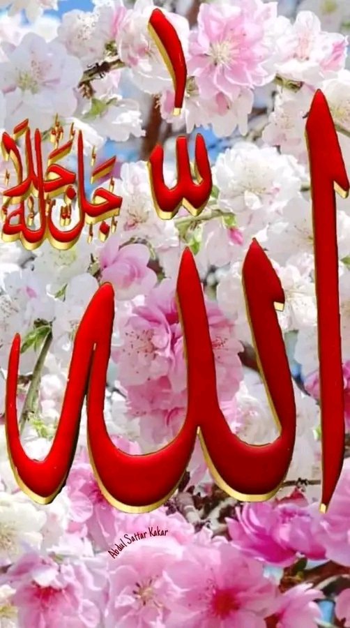 Today's The Best Photo   🥀🌻🥀

🌷💃💖🌷💃💖🌷💃💖