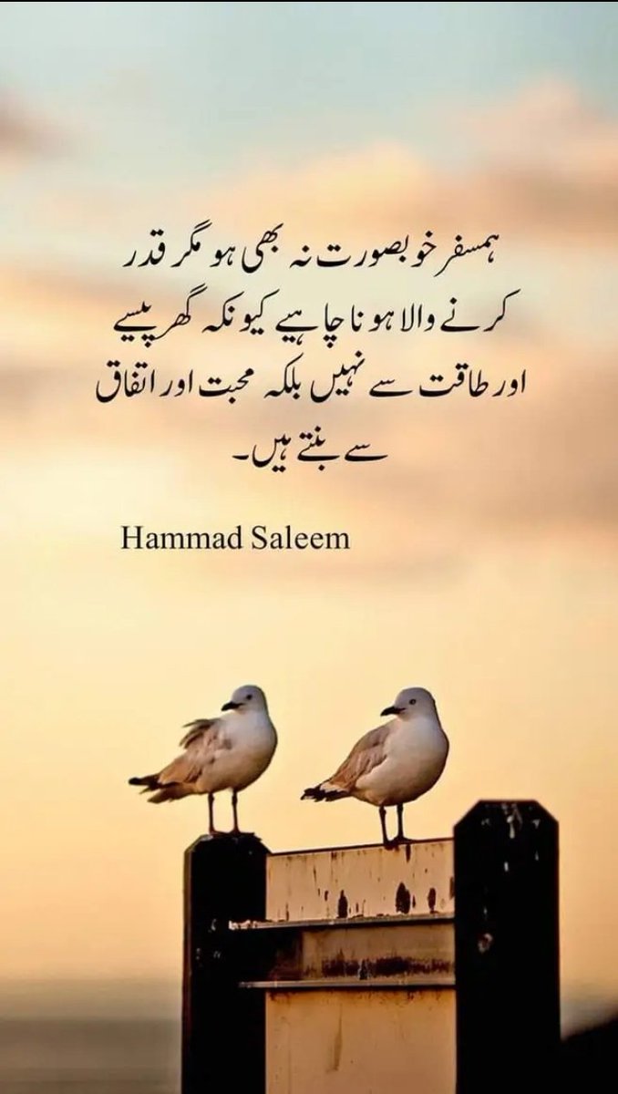 kashif buzdar (@kashif8508472) on Twitter photo 