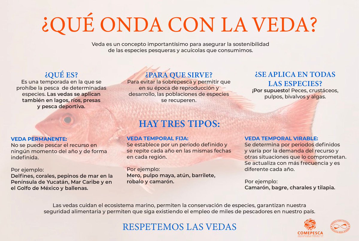 ¿Qué onda con las vedas?
Aquí te lo contamos.

<a href="/Conapesca/">Conapesca</a>