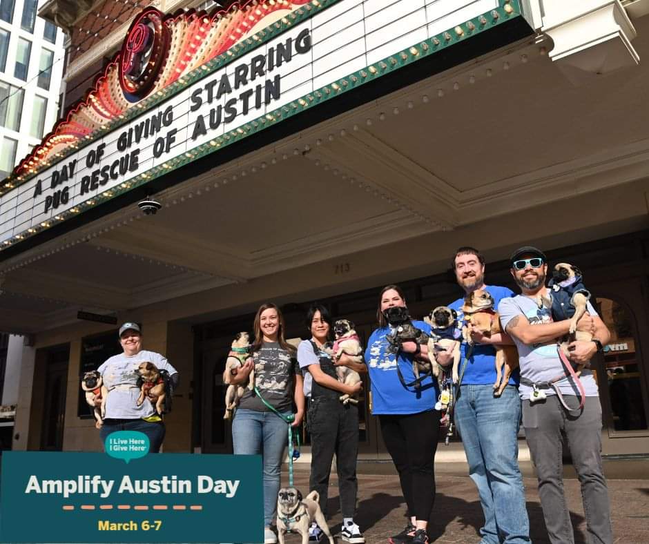 We did it! We surpassed our goal during Amplify Austin Day - 112 donors gave $16,184 in 24 hours! From the bottom of our hearts, THANK YOU #TEAMPUG, for your incredible support! Together, we made a difference for pugs in central Texas! 🎉🐾
#ILiveHereIGiveHere #AmplifyAustin