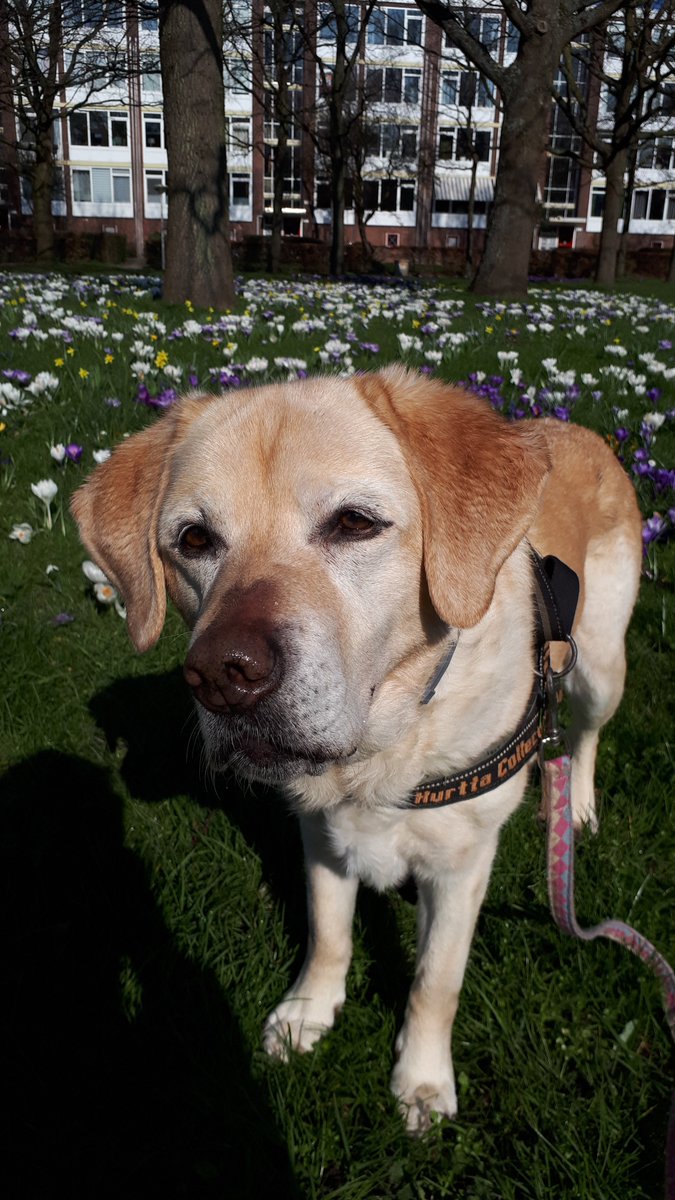 ImkeSingingintherain tweet media