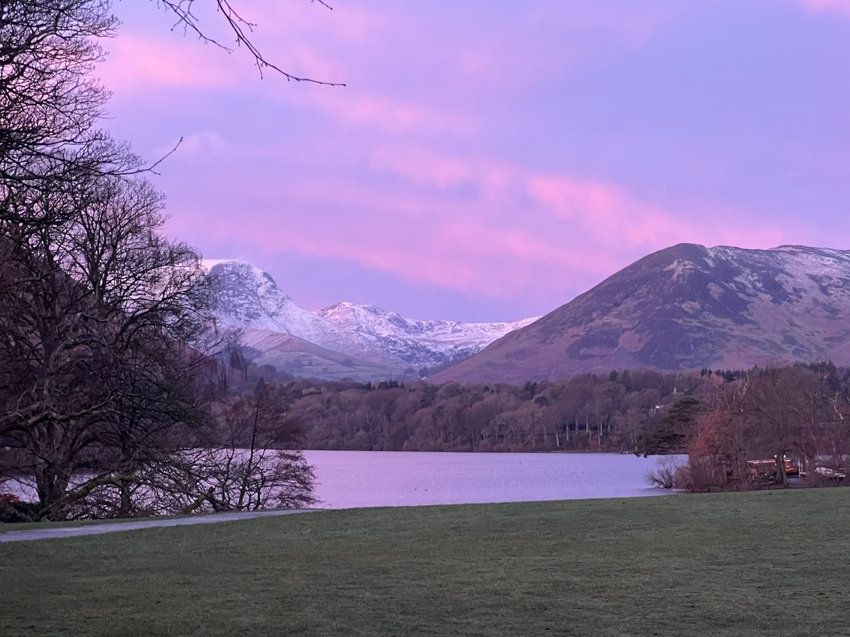 Callam James Weldon tweet media