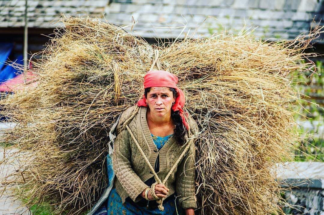 Pahadnama_'s tweet photo. #Mahasui women 
The land of Mahasu i.e. Mahasu pradesh which lies in the Satluj - Yamuna region is bestly known for worshipping of mahasu devta. 
MP Joshi (2000) proposed it as the land of Uttarakuru. https://t.co/Xt7aYaIgQ3
