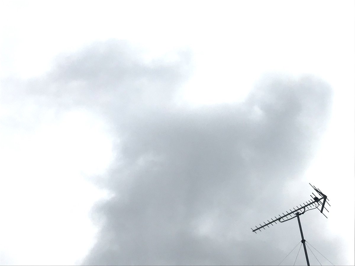 harukii_PR's tweet photo. 皆さま、こんにちは。東京世田谷の弊社上空は、薄い雲に覆われております。夜中の雪は道路からは完全に消えており、家々の屋根にわずかに残るばかりです。空気はそれほど冷たく感じられないのは湿度が高いせいでしょうか。雲の切間から薄陽も差し始めました。風が心地よいです。弥生三月ですね。 https://t.co/5C0J9lzb3v