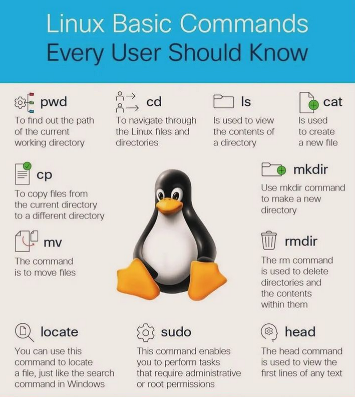 PythonDvz's tweet photo. Linux Basic Commands 🔥🔥 https://t.co/qeaKcqhQg0

#linux #unix #python #programming #developer #morioh #programmer #coding #coder #softwaredeveloper #computerscience #webdev #webdeveloper #webdevelopment #pythonprogramming #pythonquiz #ai #ml #machinelearning #datascience https://t.co/udQXpsG46u