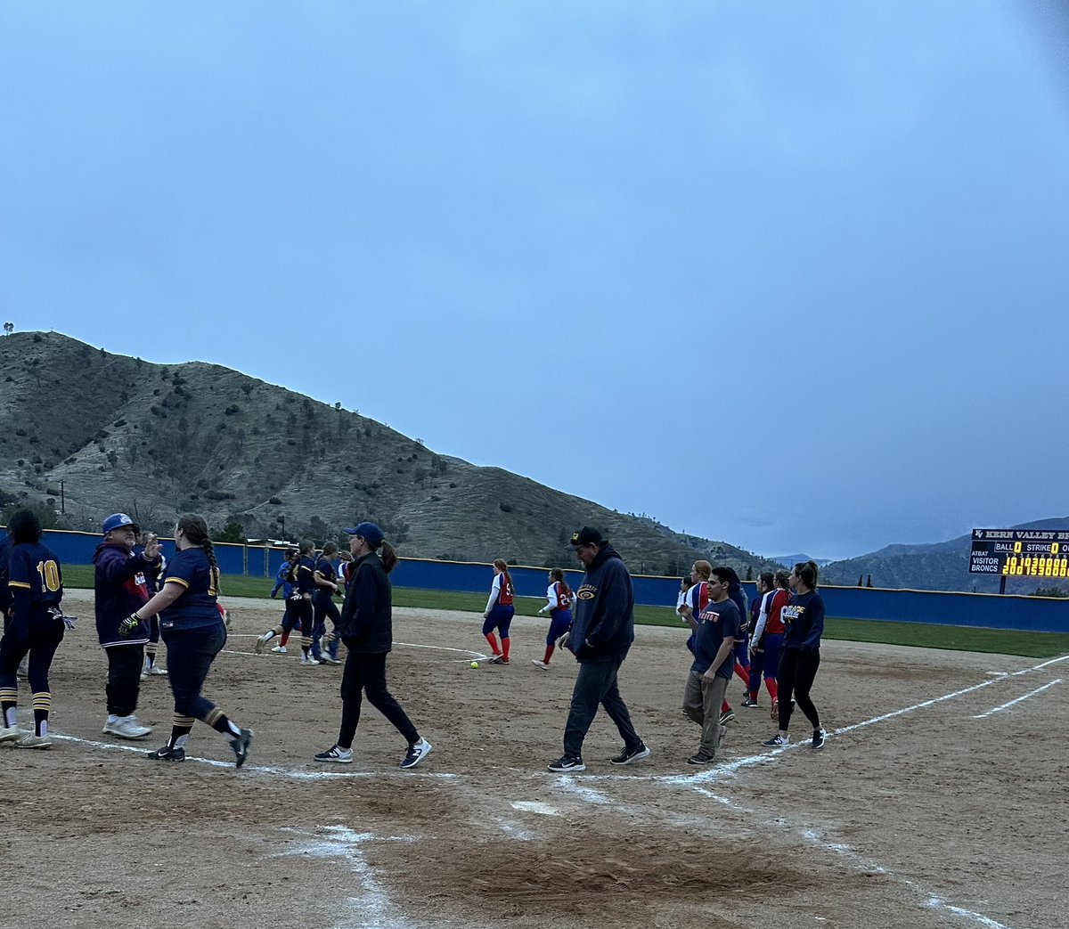 Alan Paradise tweet media