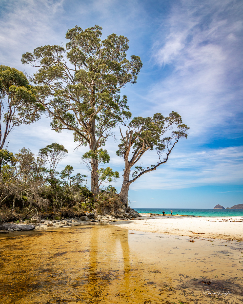 DWPhotos's tweet photo. Two Tree Point and Resolution Creek, on Bruny Island.
https://t.co/YuPUHkxbUW
.
.
.
#twotreepoint #ancientcountry #lutruwita #BackToNatureAU #adventurebay #adventurebaybrunyisland #brunyisland #brunyIslandtasmania #tasmaniaaustralia #tasmanianphotographer #tasmanianphotography https://t.co/J5eNyCNA7l