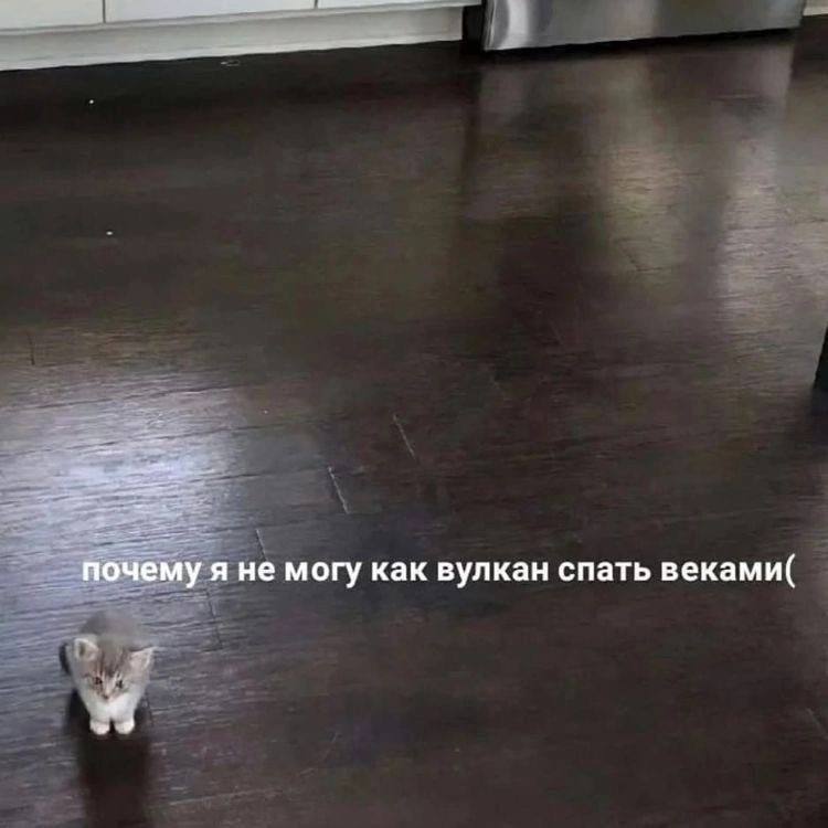 makneminki's tweet photo. Грёбанные магнитные бури... https://t.co/eAYC4awadV