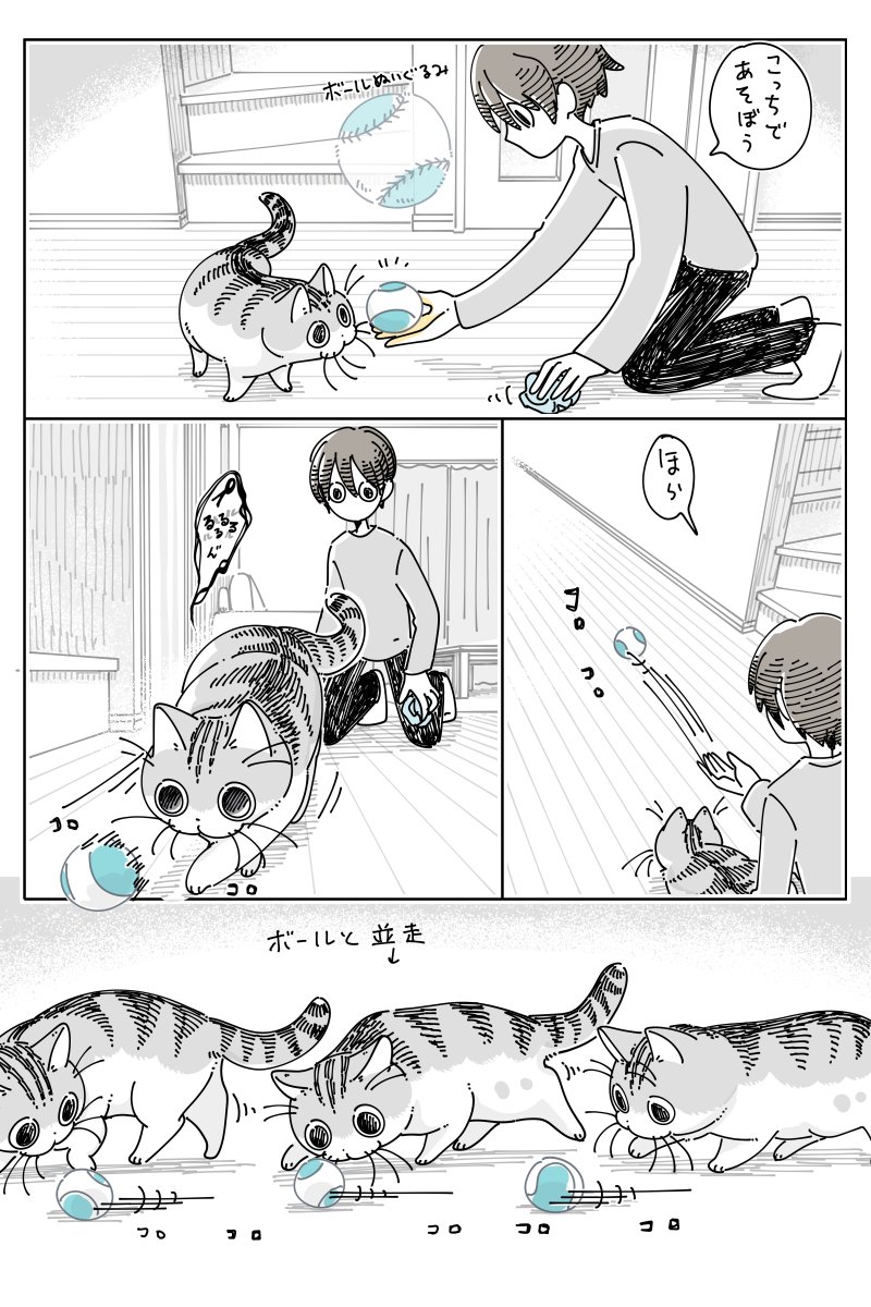 ユキヤページでございます。