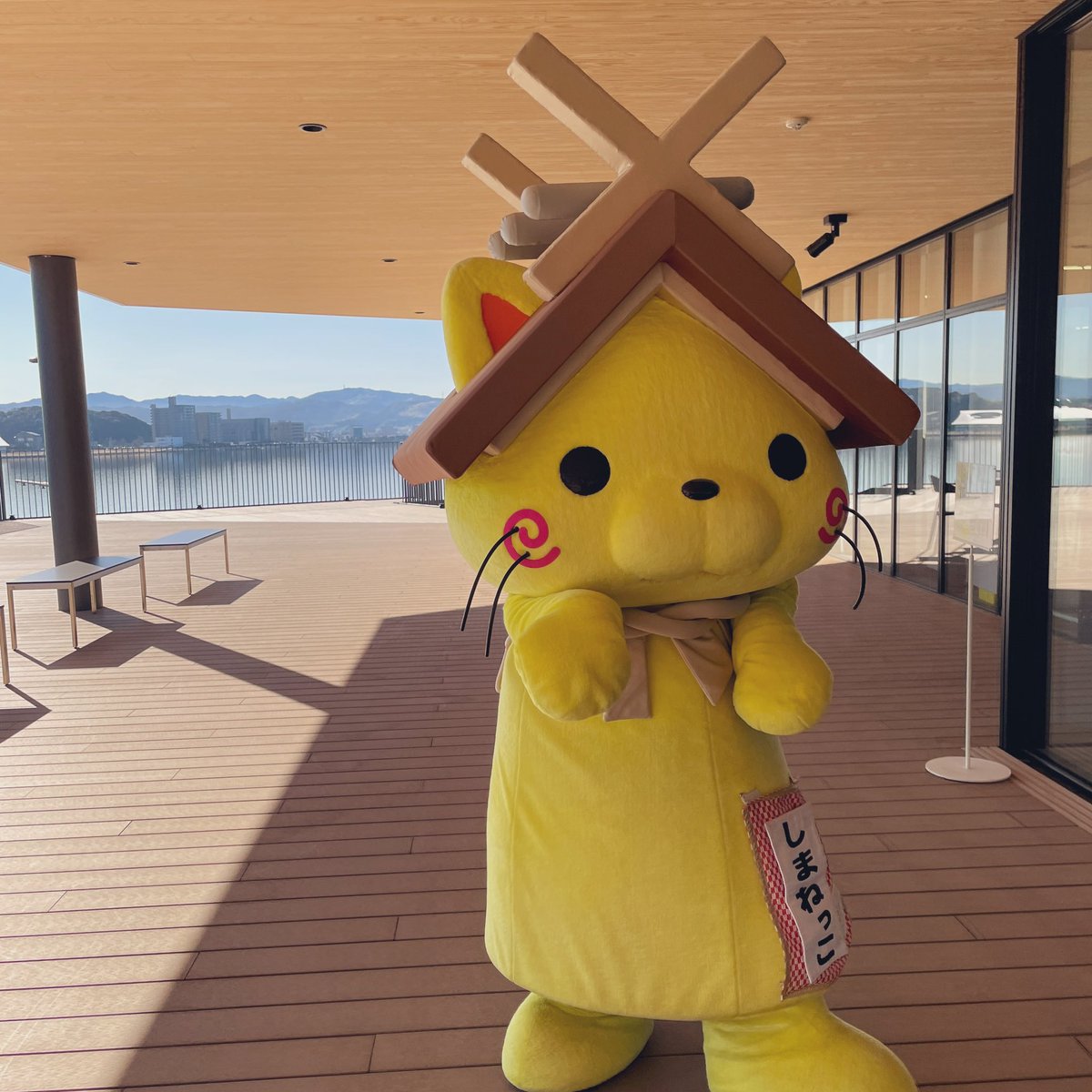 shimanekko_'s tweet image. リズムに合わせて楽しく
エクササ〜イズにゃ🎶
♪⁽⁽୧(୧˙ω˙　)♪(　˙ω˙୨)୨₎₎♪
#しまねっこ #エクササイズ #ごっこ
#松江市役所 #だんだんテラス