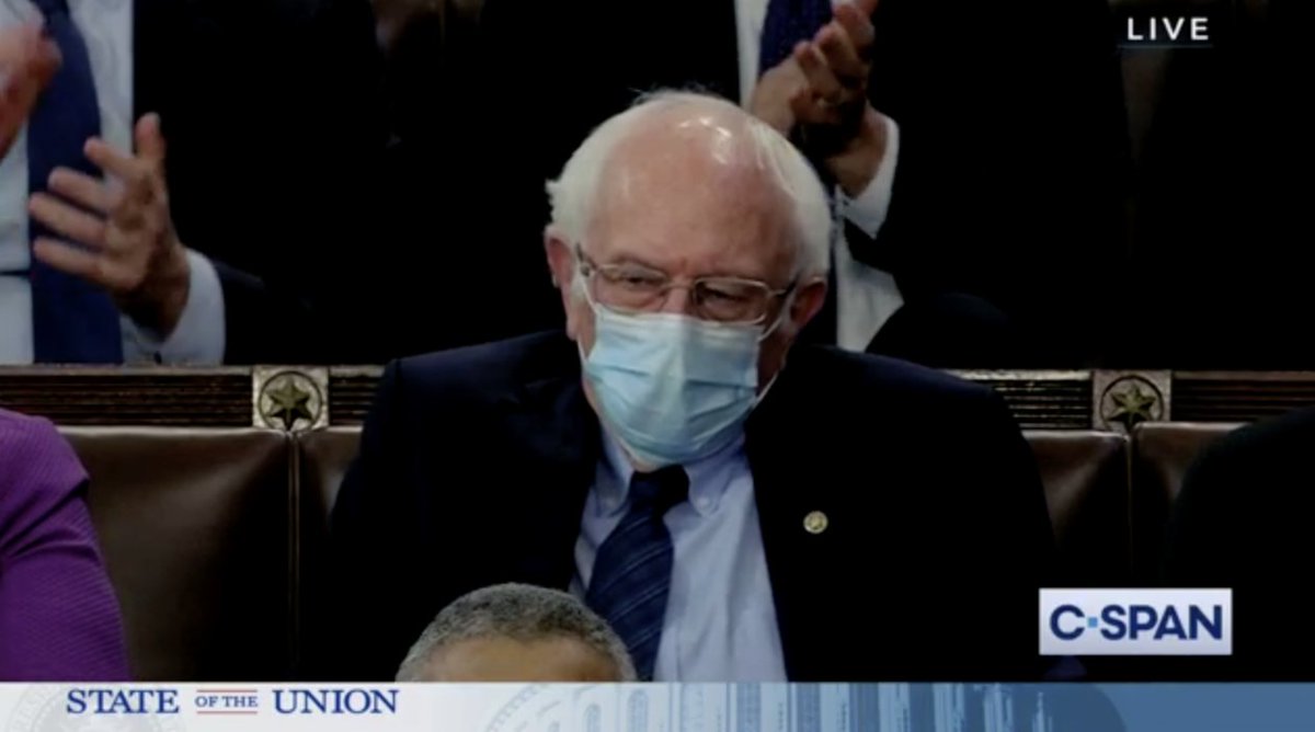 Bernie Sanders Mask Bernie Sanders Mask