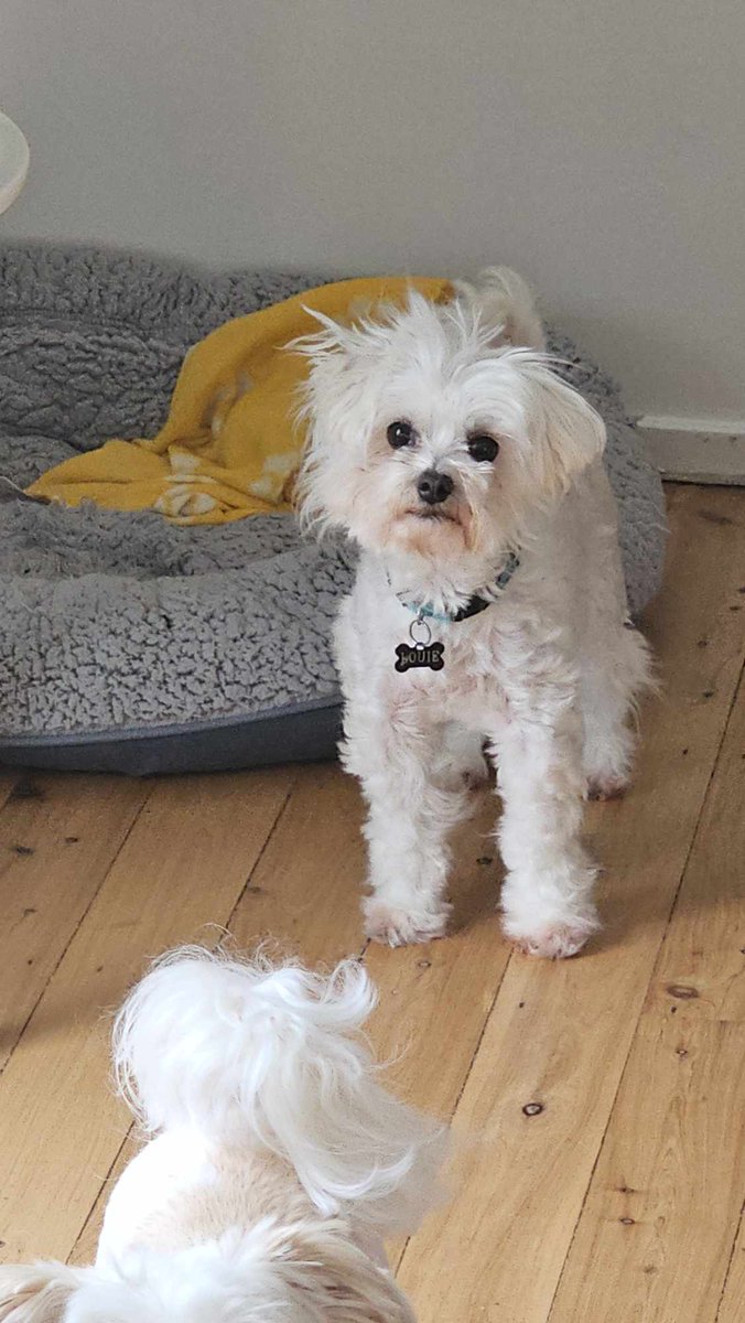 Nick 'HuT' Hutton tweet media