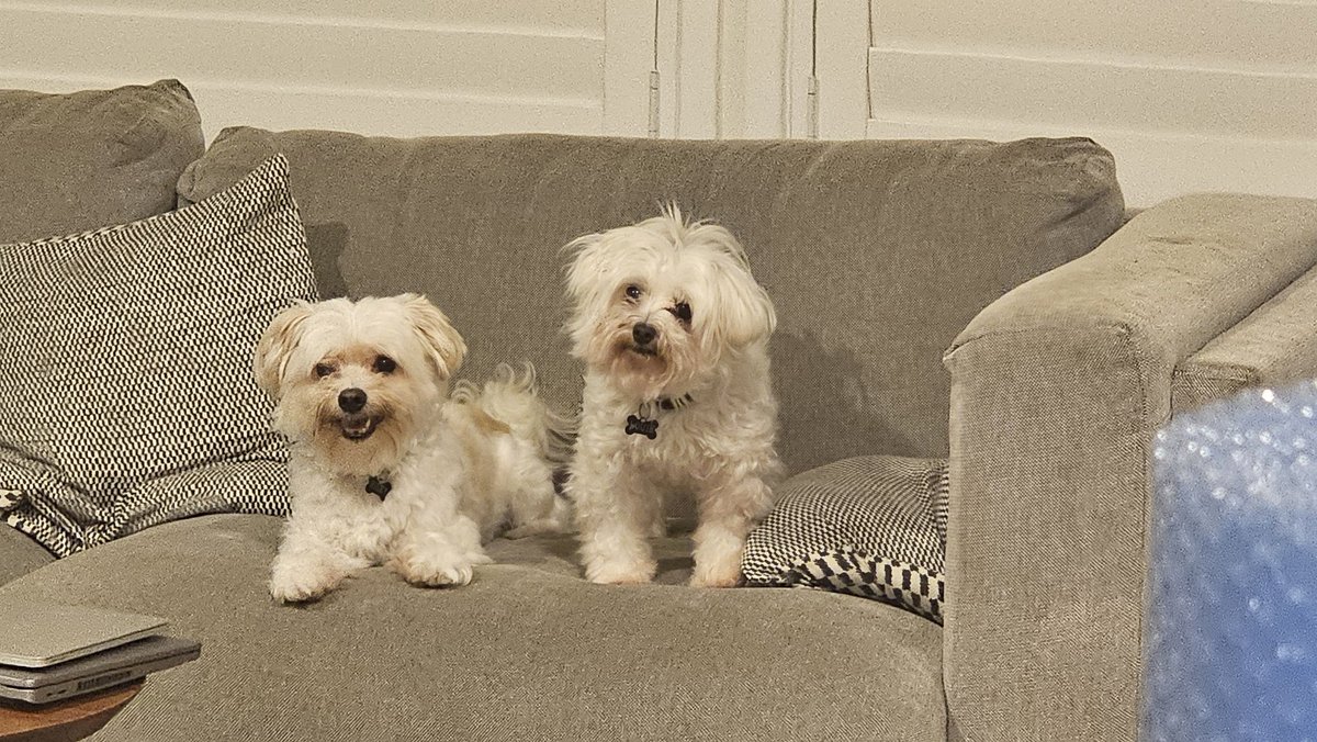 Nick 'HuT' Hutton tweet media