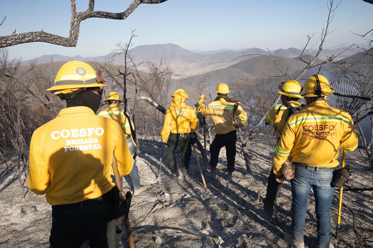 #FOTOREPORTE📸 | #Oaxaca: Avanza combate a incendio forestal en #SanLucasQuiaviní

Avanza COESFO con apertura de brecha cortafuego, en perímetros deñ incendio forestal en el municipio de San Lucas Quiaviní, región de Valles Centrales, en el combate al fuego participan cuidados